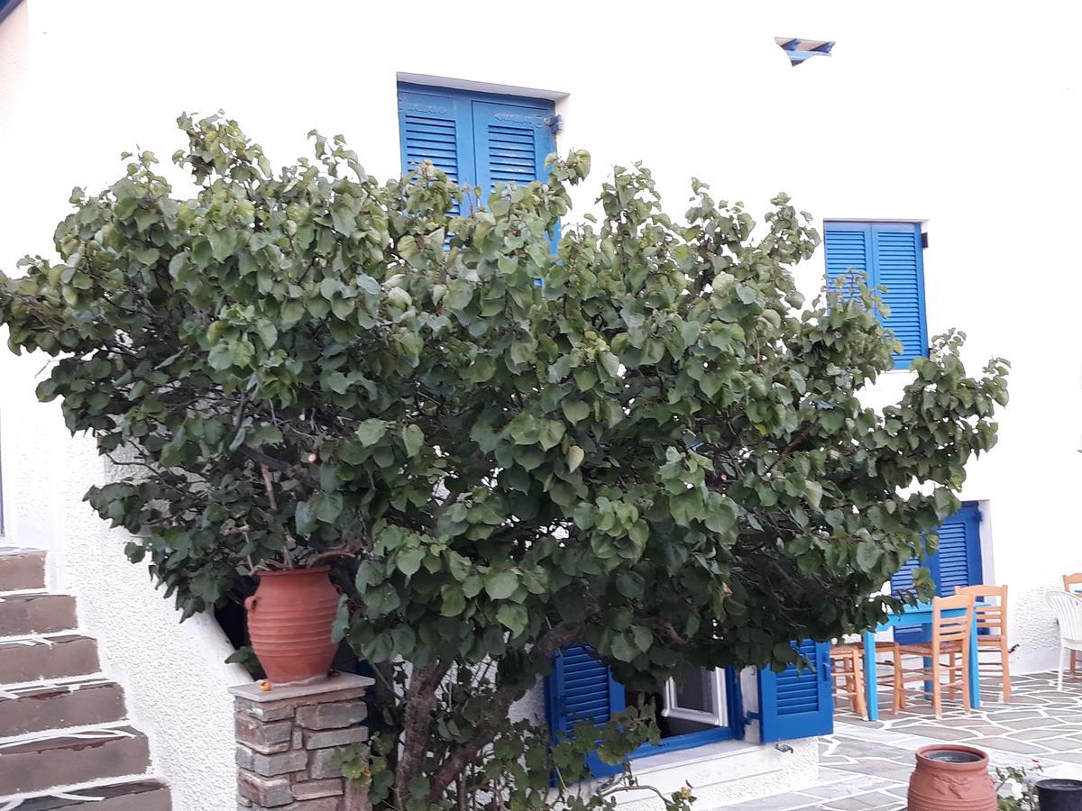 Holidays In Paros Alikí Kültér fotó