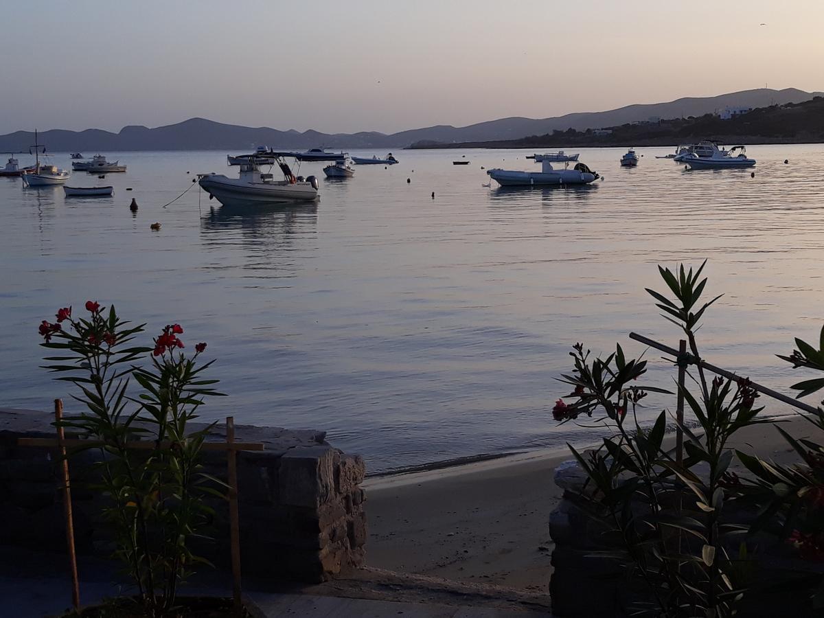 Holidays In Paros Alikí Kültér fotó