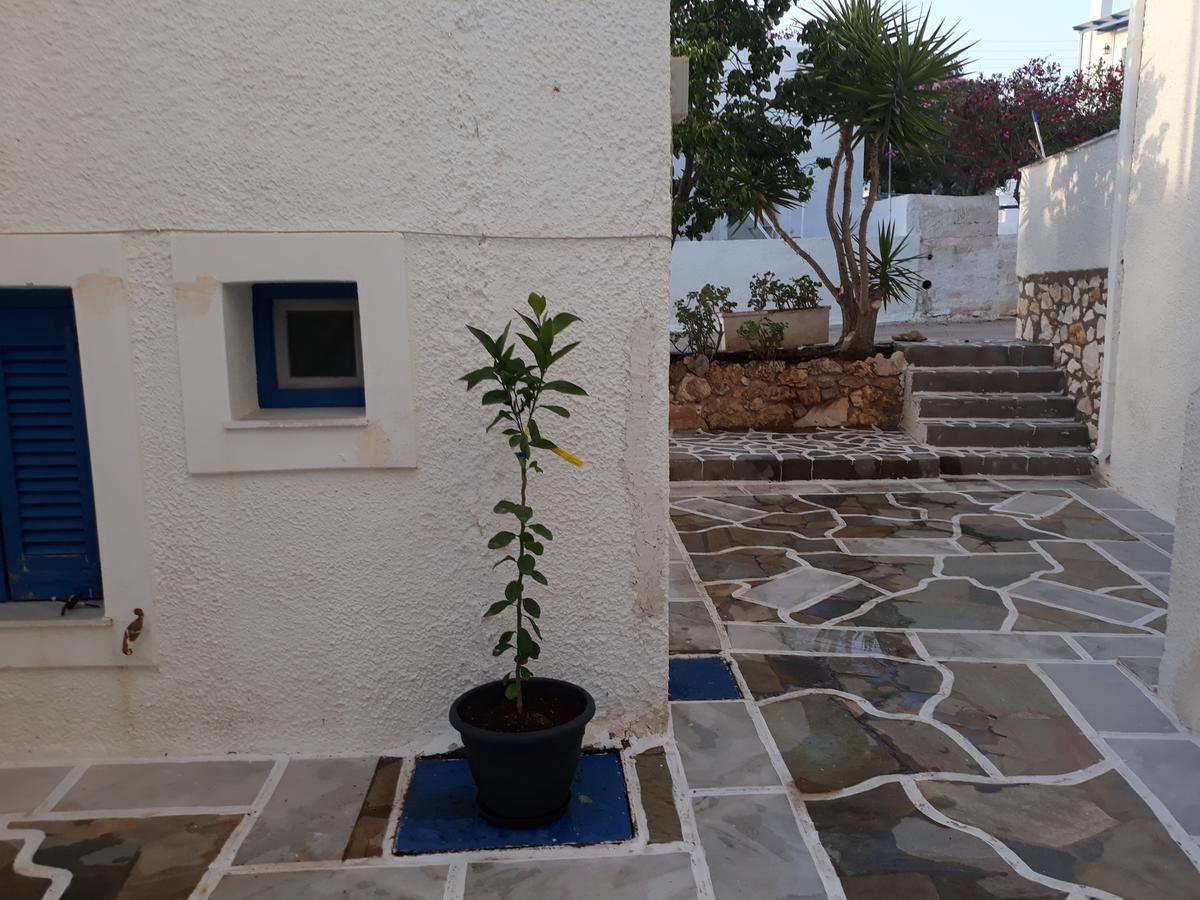 Holidays In Paros Alikí Kültér fotó